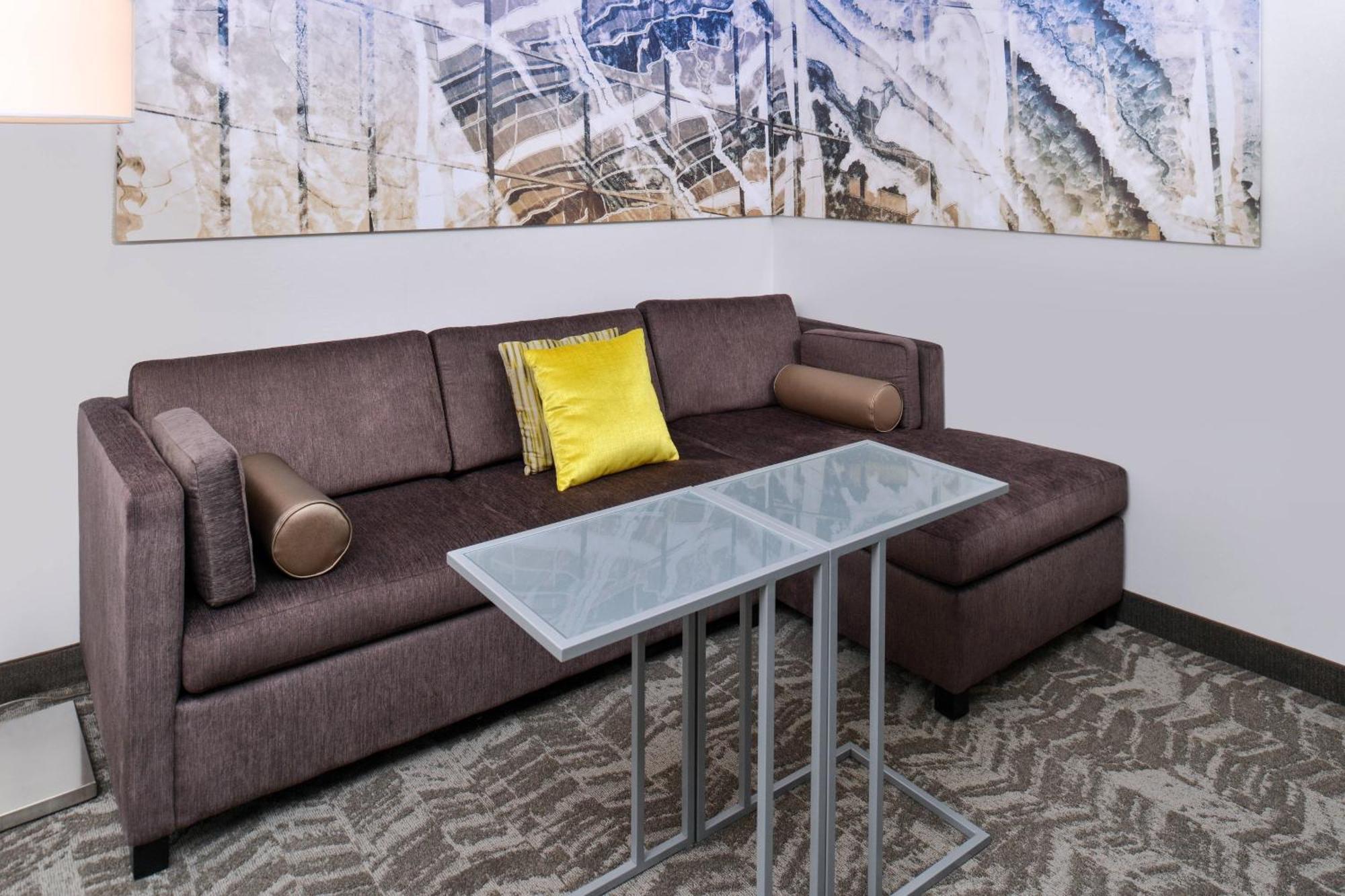 Springhill Suites By Marriott Detroit Metro Airport Romulus Eksteriør billede