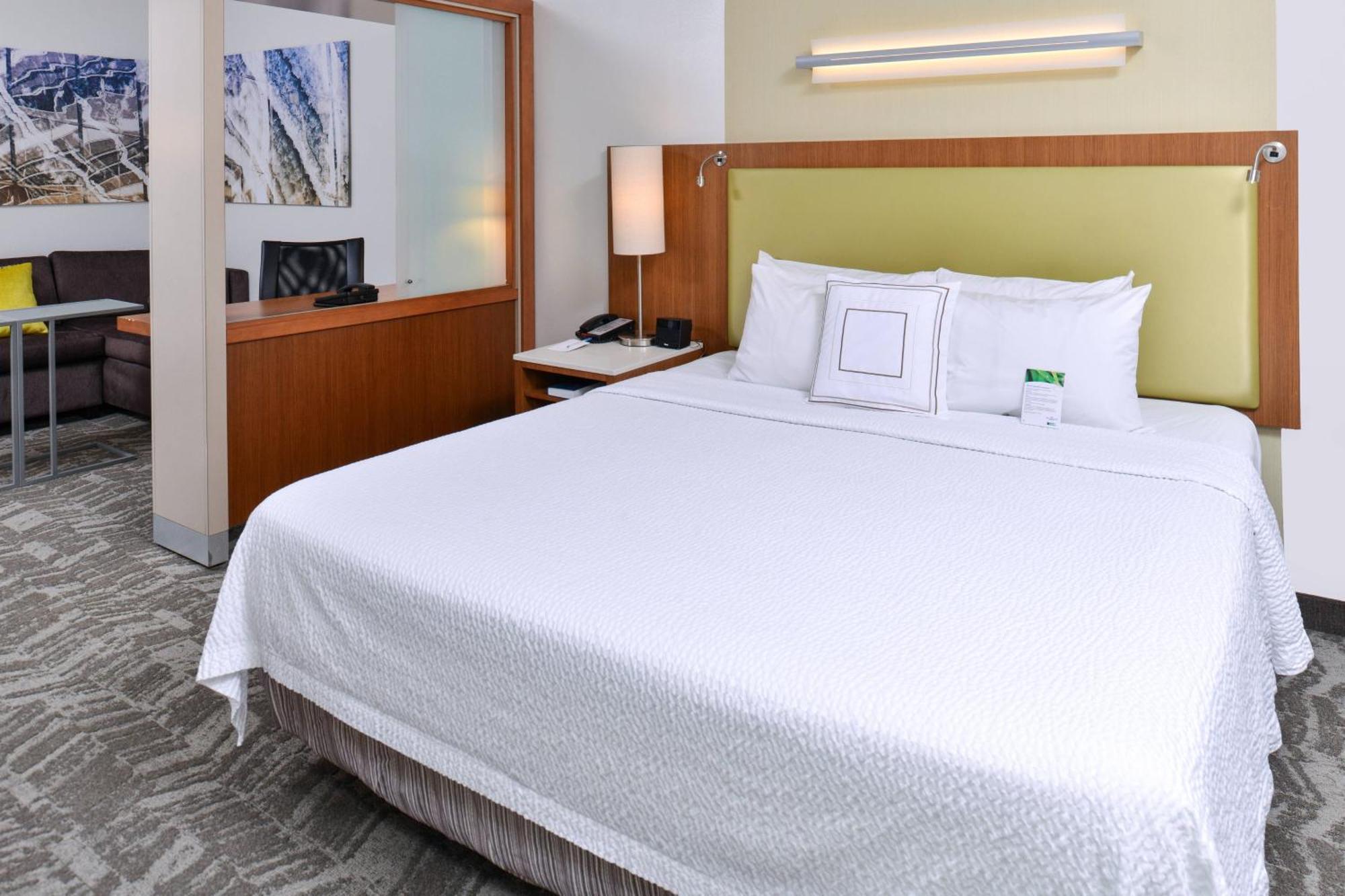 Springhill Suites By Marriott Detroit Metro Airport Romulus Eksteriør billede
